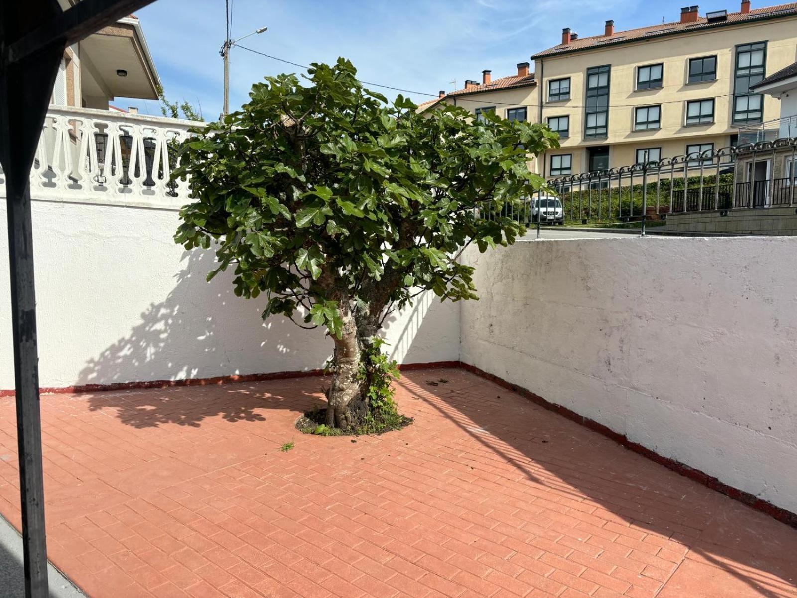 Casa De La Nina,Chalet Familiar Con Gran Terraza Fisterra Zewnętrze zdjęcie